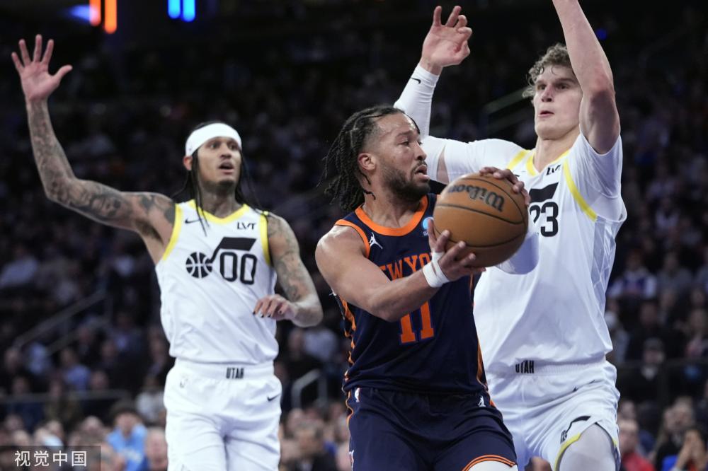 森中的中坚 森中的中坚